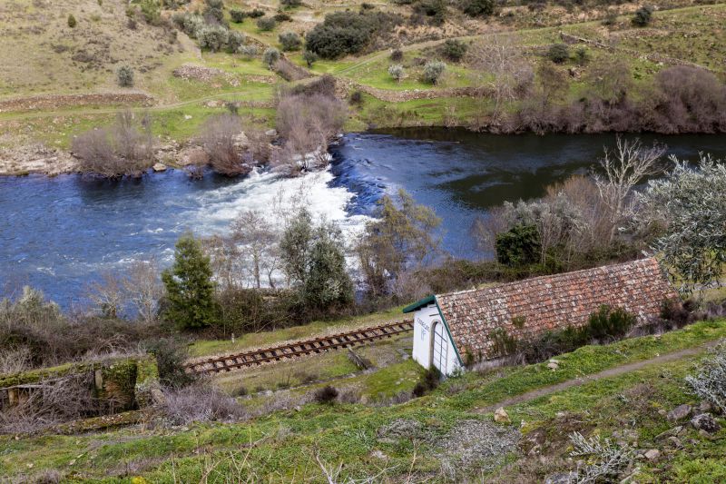 Comboios com fins turísticos ou históricos vão ser obrigados a ter seguro de 10 milhões de euros