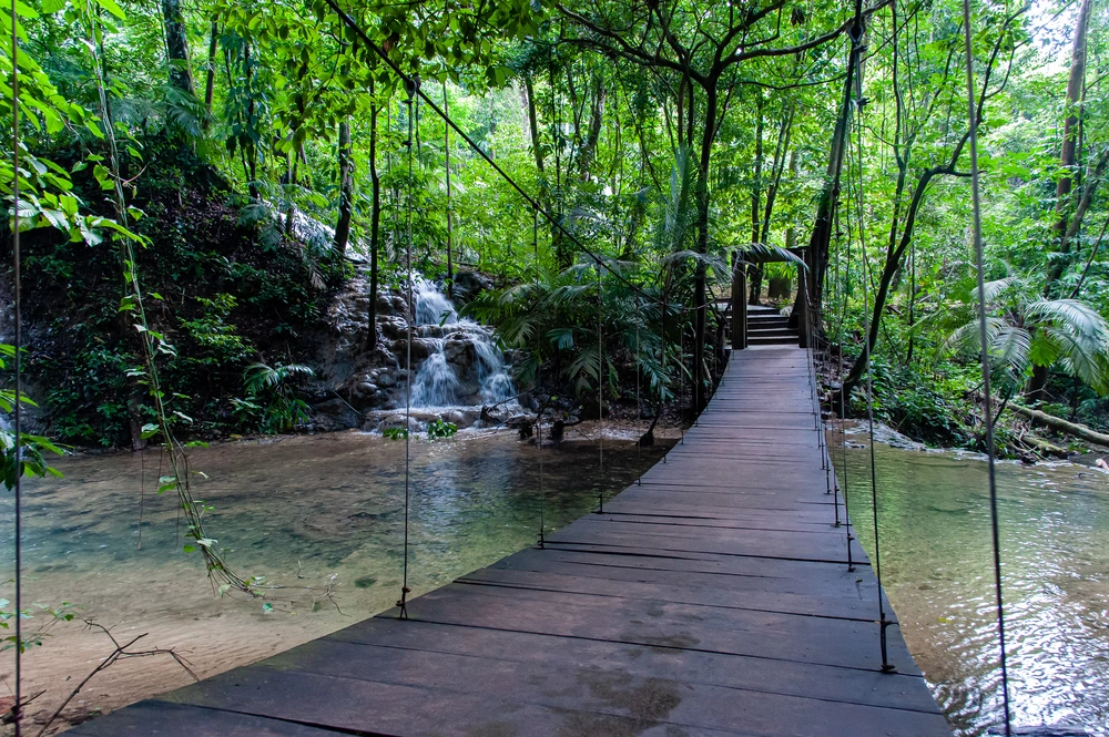 Ecoturismo em Portugal: uma oportunidade de negócio